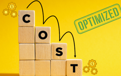 Optimizing IT Cost: How Managed Services Maximize Your ROI in 2024